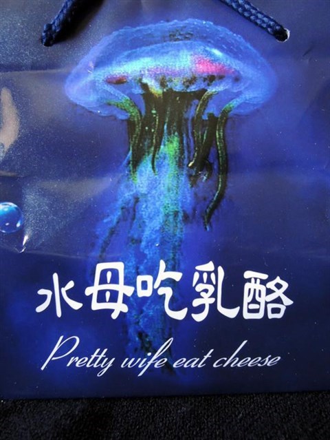 水母吃乳酪