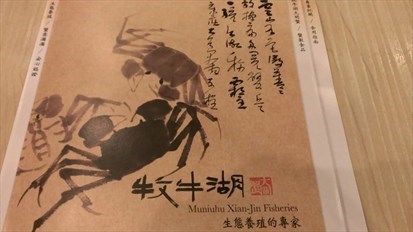 近期網路最夯的牧牛湖大閘蟹，想吃蟹的人，手腳要快，只供應到明年1月喔！
