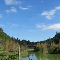 clairegarden